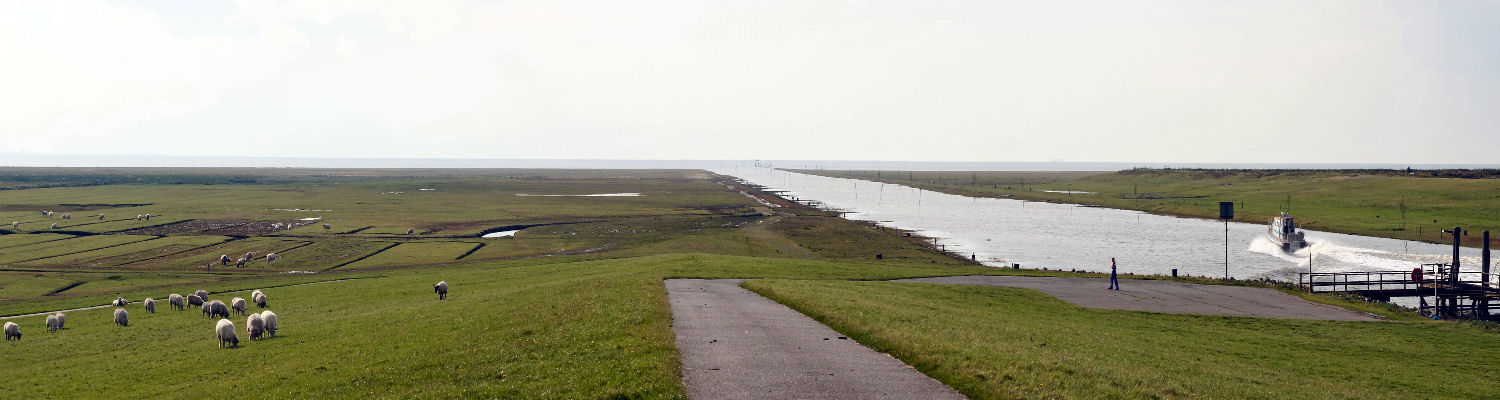 Deichvorland am Friedrichskooger Hafen