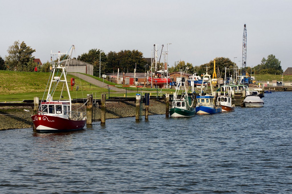 Hafen Friedrichskoog