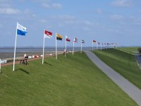 Strandbereich in Friedrichskoog-Spitze