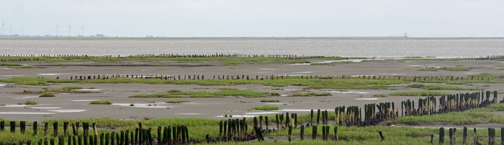 Nordseeluft-Friedrichskoog.de